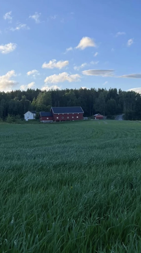 Gård i sentralt i Skiptvet vureres solgt